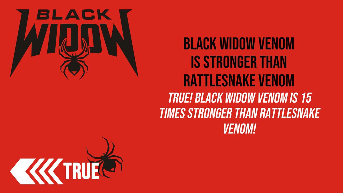 Black Widow image number null